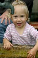 img_0309.jpg  320x480  22 KB